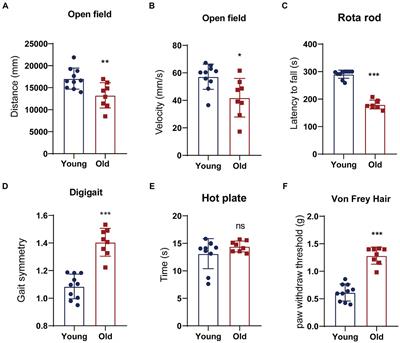 Role of microbiota-gut-brain axis in natural aging-related alterations in behavior